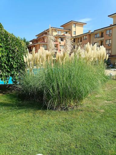 Magic Dreams Apartments Sweti Wlas Exterior foto